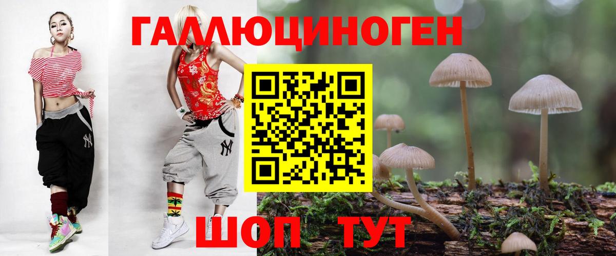 Галлюциногенные грибы Magic Shrooms  где найти наркотики  Вышний Волочёк  Вход с VPN 